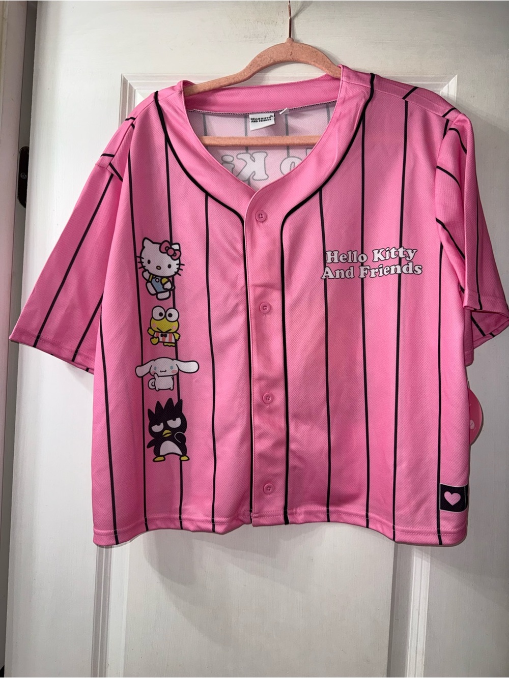 Hello Kitty and Friends Jersey